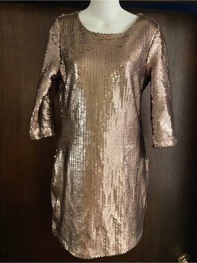 BB Dakota | Dresses | Sequin 4 Sleeve Dress